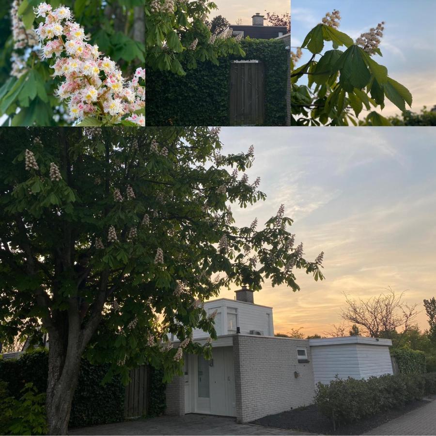 Vakantiebungalow Mee Naar Ouddorp Aan Zee Екстер'єр фото